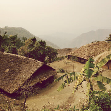 Bamboo houses