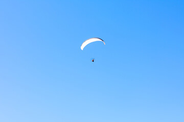 Paraglider in the blue sky. The sportsman flying on a paraglider.