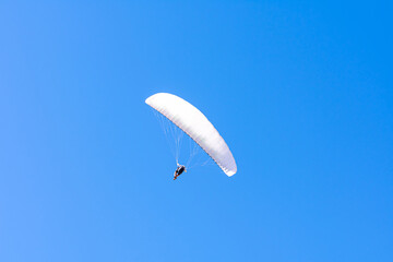 Paraglider in the blue sky. The sportsman flying on a paraglider.