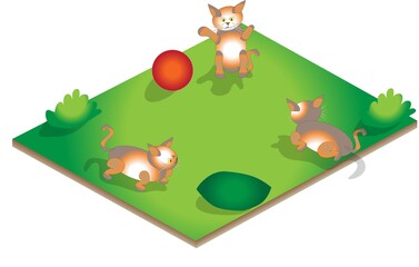A Set of Isometric Cats