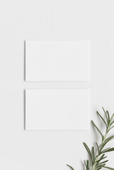 Two white business cards mockup with rosemary. 85x55mm