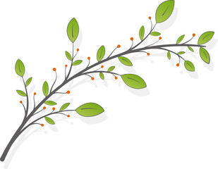 Branch with green leaves and orange berries on a white background