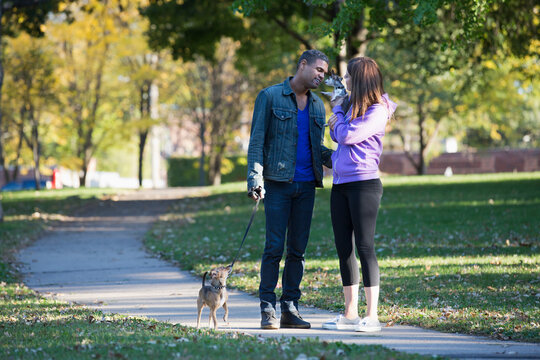 Happy multiethnic couple walking their dogs in a city park