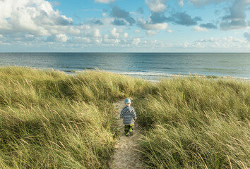 Little 2 year old Boy walking on sand dune path with marram grass to ocean beach. Hvidbjerg Strand, Blavand, North Sea, Denmark.