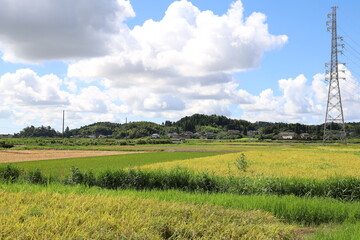 田舎の風景