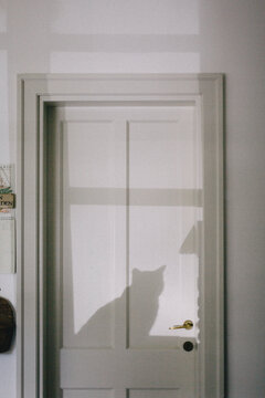 Cat sitting outside on windowsill drawing her shadow on wooden door inside the house