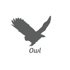 Silhouette of owl