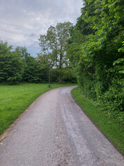 Cozy road in the forest in Munich Germany 