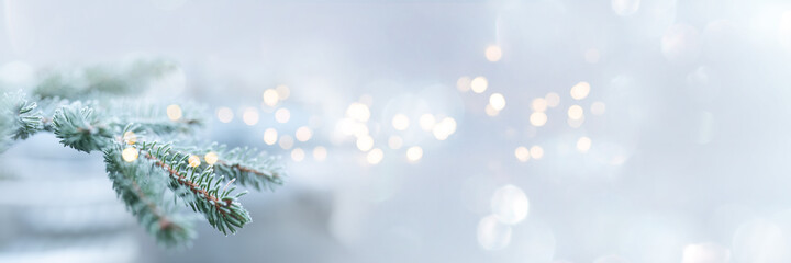 Fir branches in winter with festive bokeh
Fir branches in winter with festive bokeh for christmas greetings. Horizontal background with short depth of field for a christmas concept.  