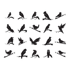 Fototapeta na wymiar silhouette of bird
