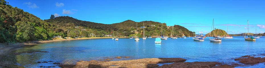 Fototapeta premium Panoramic view of Opito Bay in Northland, New Zealand, with many yachts on the water and pohutukawa trees blooming on shore