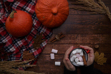 hands hold a mug with cocoa and marshmallows on a table where pumpkins . 