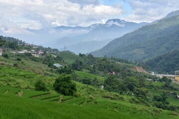 Fototapeta na wymiar Wide Panorama of Rice Terraces and Mountains near Sa Pa, Vietnam