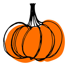 halloween sketched orange pumpkin. black and white sketched pumpkin.