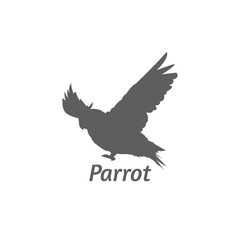 Fototapeta na wymiar silhouette of a parrot