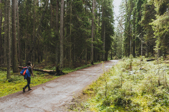 Man walking on a trail in the forrest
