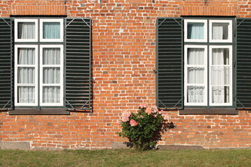 Fototapeta na wymiar the windows of the old castle are on the old brick wall between them a bunch of roses grows,castle facade