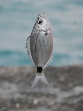 Good catch!