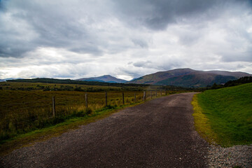 Camino de tierra con prados al lado y montañas de fondo