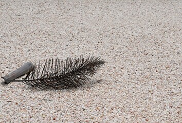 Dead dry palm leaf laying on decorative pebble stone garden ground cover