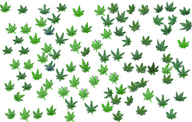 green cannabis leaves background.  medical hemp