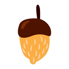acorn concept