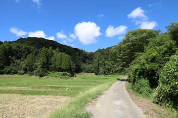 田舎の風景