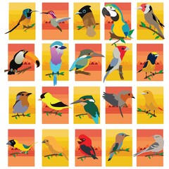 beautiful birds © captainvector