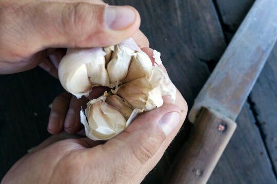 Man holding clove of garlic