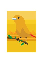 canary bird