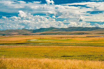 The hill and grassland landscape in Ruoergai Grassland, Sichuan, China, autumn time.