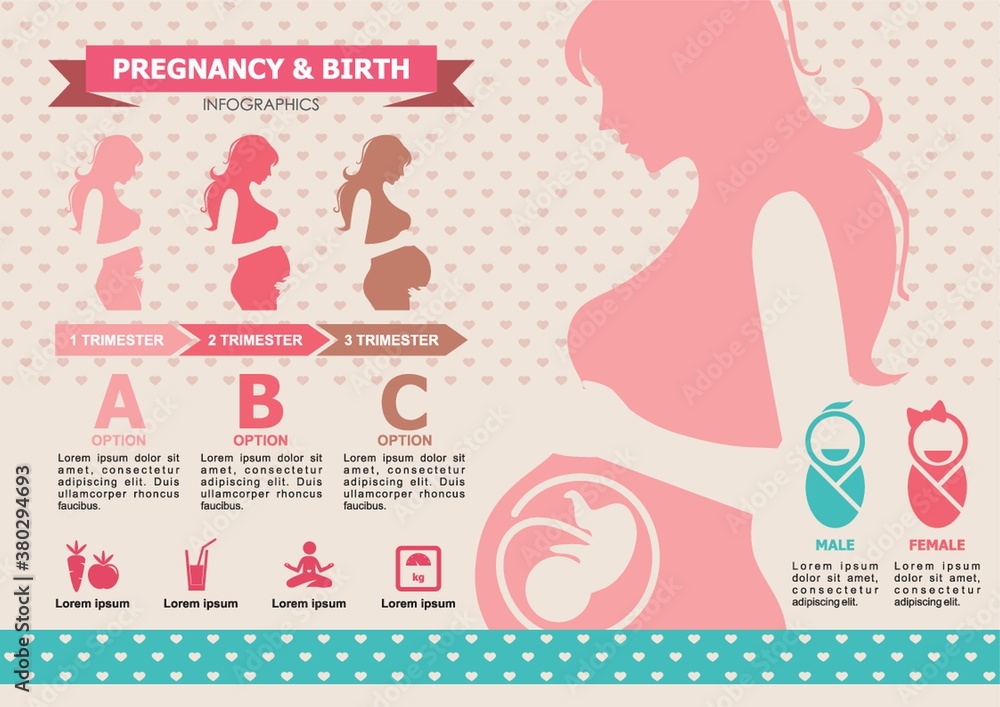 Wall mural Pregnancy and birth infographic