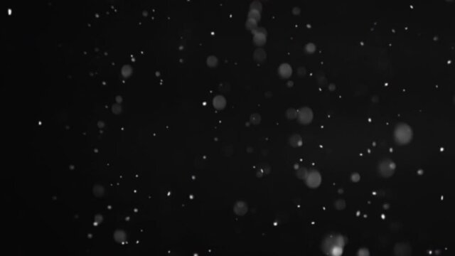 Falling snow background. Blur white flakes flicker motion isolated on black. Dark winter sky. Night blizzard. Defocused particles animation.