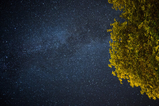 Night sky full of stars