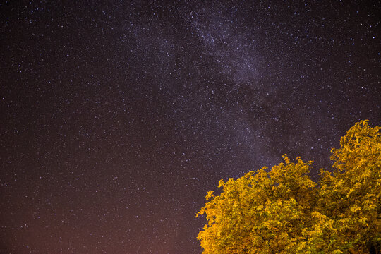 Night sky full of stars
