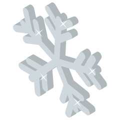 
Isometric icon design in snowflake 
