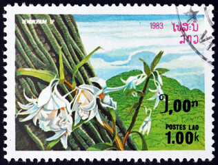 Postage stamp Laos 1983 rock orchid, flowering plant