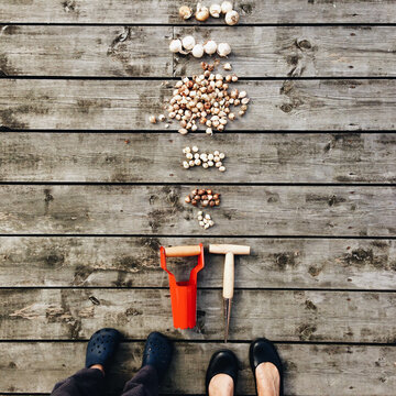 Mother and son prepare to plant spring bulbs