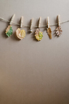 Autumn leaves hanging on the rope