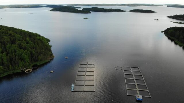 Aerial view to fish farm in the lake. cages Russian Karelia. Ladoga. Karjala