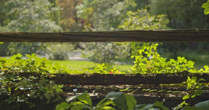 footage of beautiful garden fence