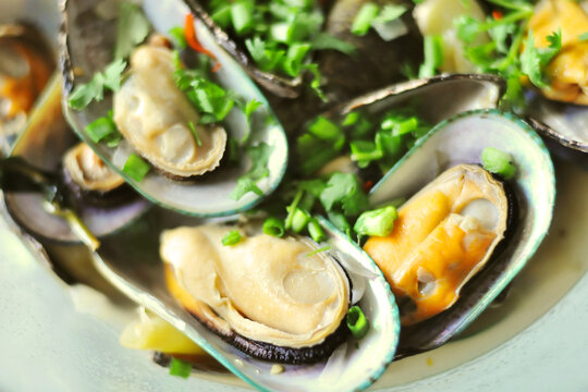 Mussels