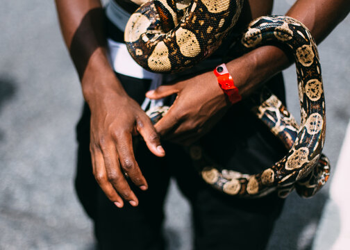 Boy holding a snake at the parade