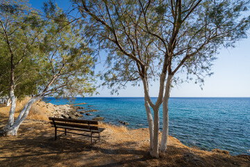 Fototapeta na wymiar Sitzbank unter Tamarisken Baum an griechischem Strand 