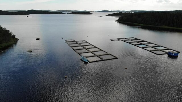 Aerial view to fish farm in the lake. cages Russian Karelia. Ladoga. Karjala