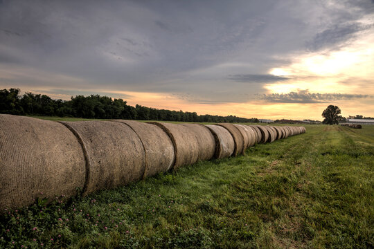 Sunrise Landscape of Large Haystacks on a Farm