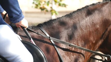 Unrecognizable professional jockey riding on horseback. Purebred mare galloping in manege. Close up neck of brown horse running on training or competition. Equestrian sport. Slow motion