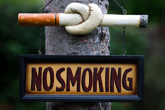 No smoking sign on the tree