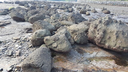 stone on the beach