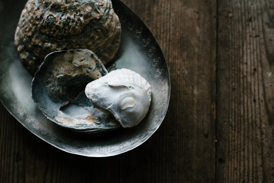 Empty oyster shells on a pewter dish